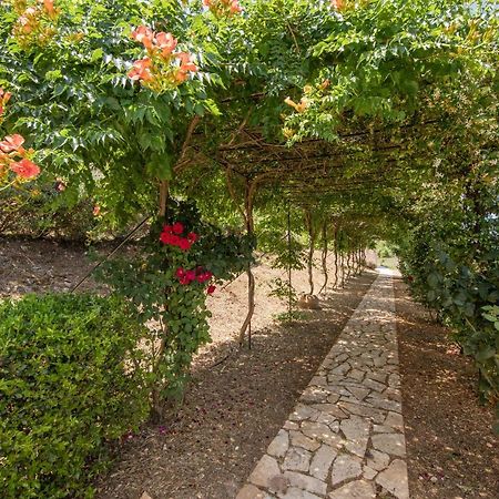 Agallis Corfu Residence Sokrakion ภายนอก รูปภาพ
